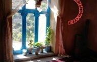 سایکوتور تجربه ای متفاوت