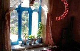 سایکوتور تجربه ای متفاوت