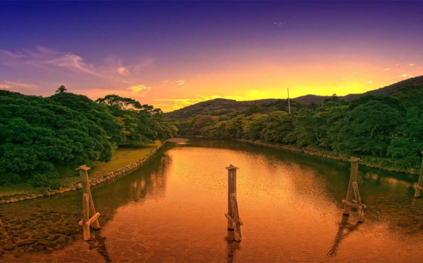 هراس معکوس counter phobia