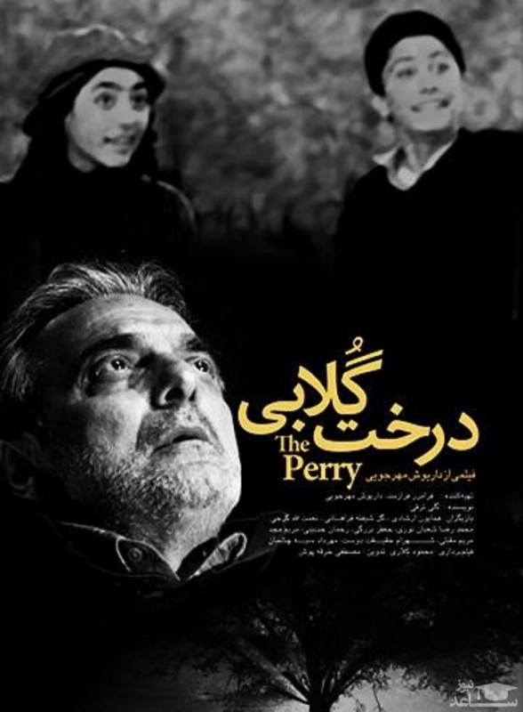 تحلیل روانشناختی و روانکاوانه فیلم درخت گلابی